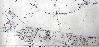 Common Road in 1880
